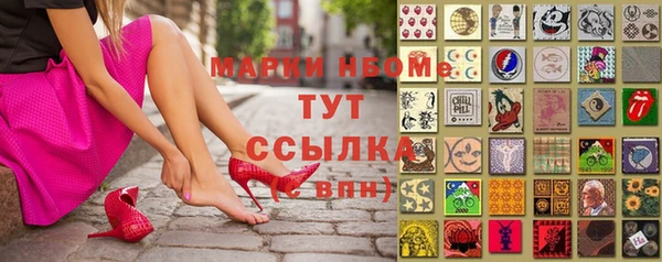 соль ск Вязьма