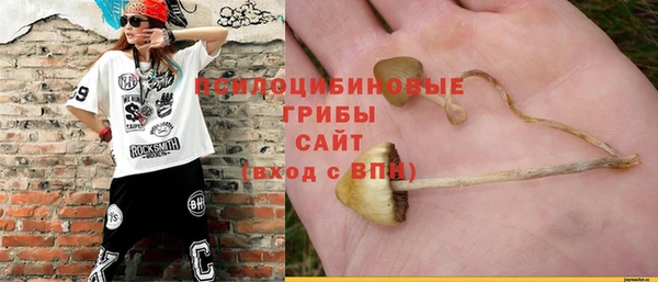 соль ск Горняк